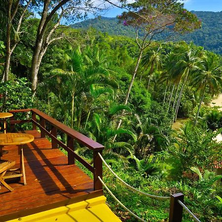 Atlantica Jungle Lodge Vila do Abraao Luaran gambar