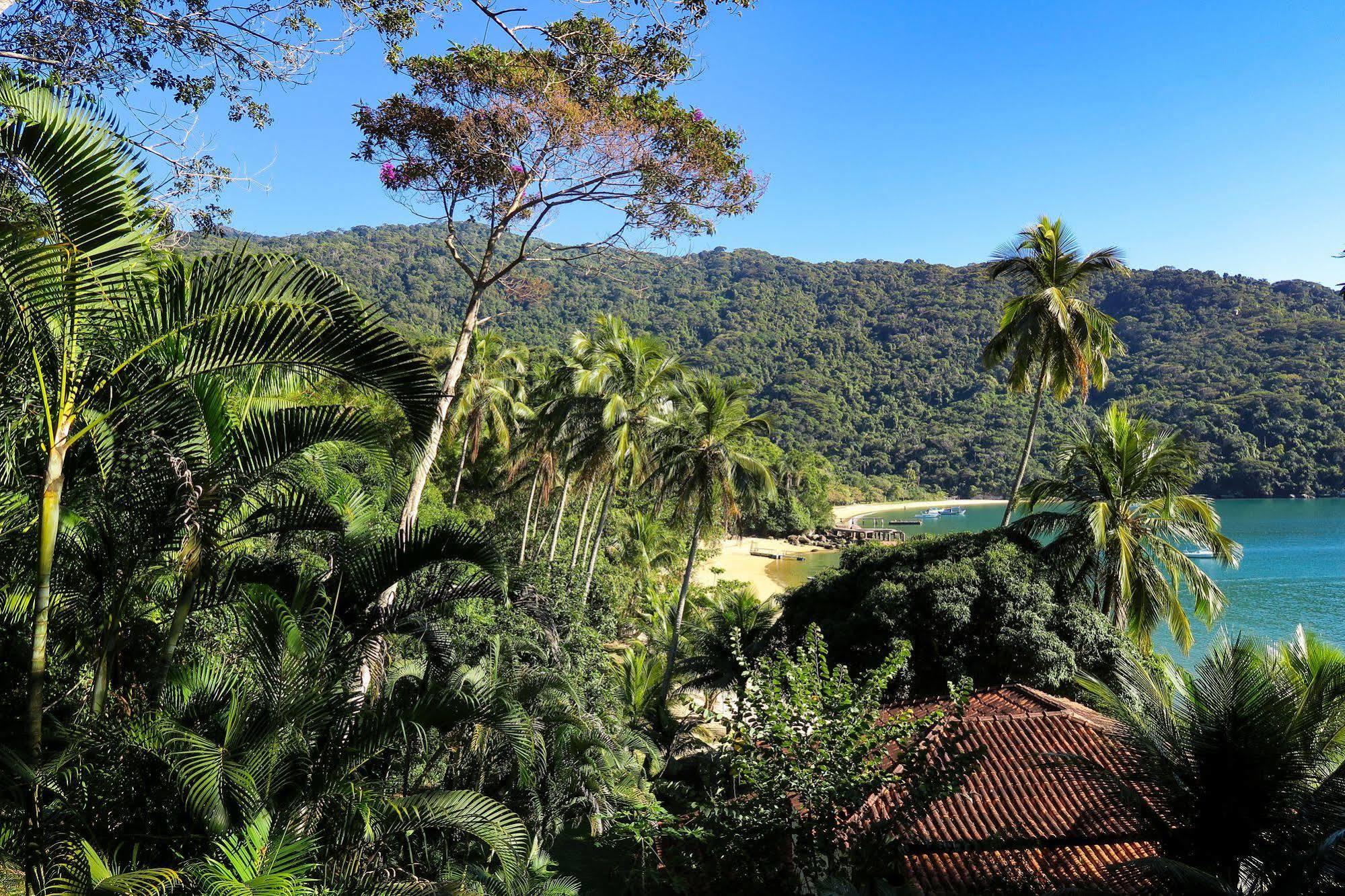 Atlantica Jungle Lodge Vila do Abraao Luaran gambar